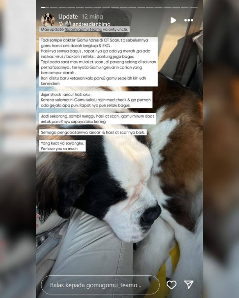 Instagram.com/gomugomu_teamo